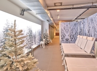 franz FERDINAND Mountain Resort se skipasem