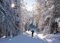 JBX Resort Avenue Lipno