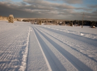 JBX Resort Avenue Lipno