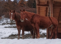 Hotel Agriturismo Donec