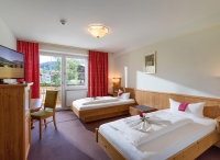 Harmony Hotel Harfenwirt