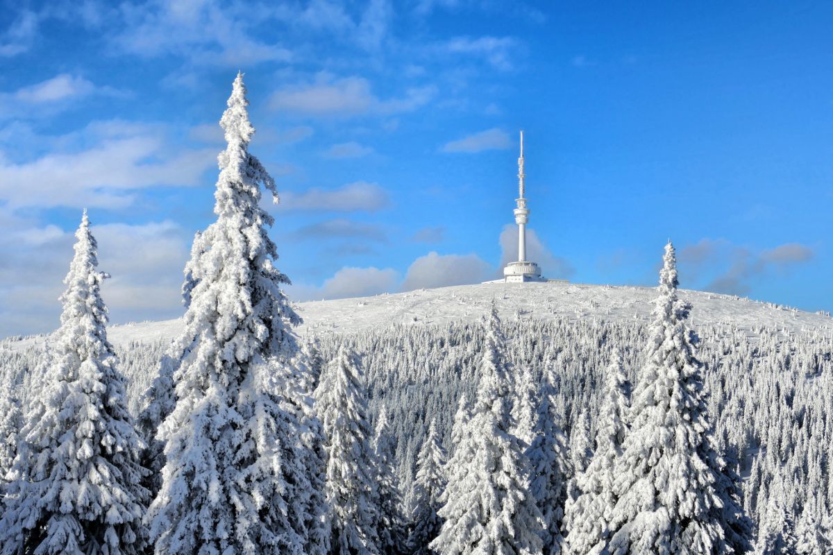 Praděd, Jeseníky Praděd, Jeseníky