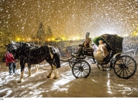 Madonna di Campiglio - Pinzolo