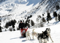 Tonale / Ponte di Legno