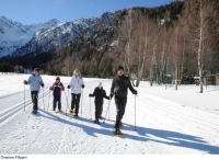 Tonale / Ponte di Legno