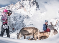 3 Zinnen - Tre Cime Dolomiti