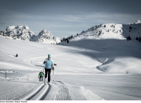 3 Zinnen - Tre Cime Dolomiti
